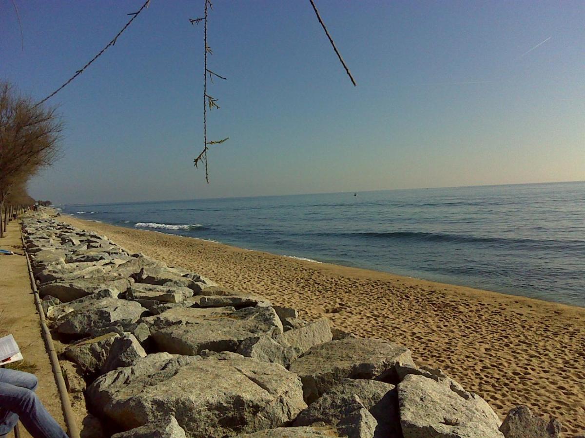 Tata'S House, Junto Playa Y Barcelona Centro Διαμέρισμα Masnou Εξωτερικό φωτογραφία